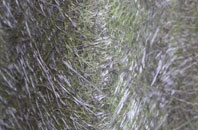 Yarnacott fibreglass roof work